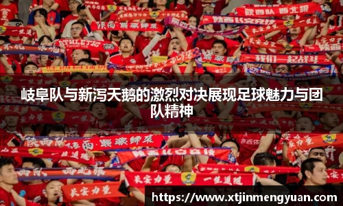 岐阜队与新泻天鹅的激烈对决展现足球魅力与团队精神