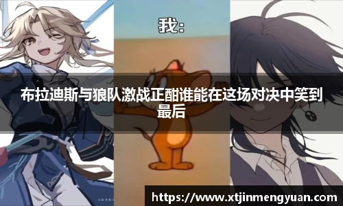 哈哈体育布拉迪斯与狼队激战正酣谁能在这场对决中笑到最后