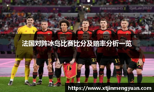 哈哈体育法国对阵冰岛比赛比分及赔率分析一览
